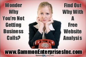 no-calls-not-enough-business-seo-free-website-anaylysis